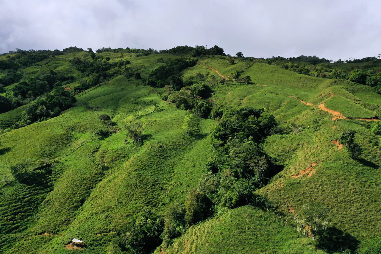 150 Acre Cattle Ranch with Panoramic Views Above the mountains of Uvita - Gallery image 17