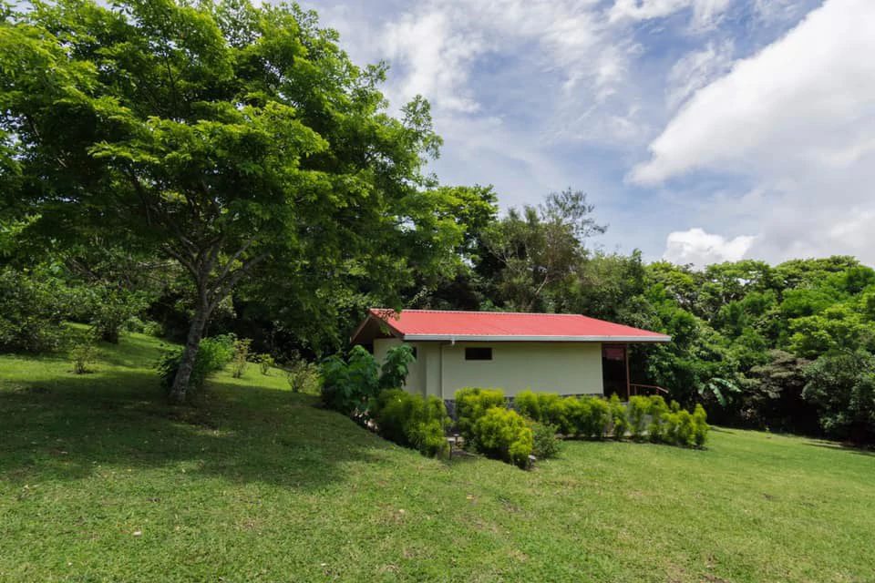 2 Acres with 4 houses Centrally located in Monteverde BV0224: Turn-Key Accommodations Business on 2 Acres Just 5 Minutes from Santa Elena – Surrounded by Nature, Ready to Grow - Gallery image 4