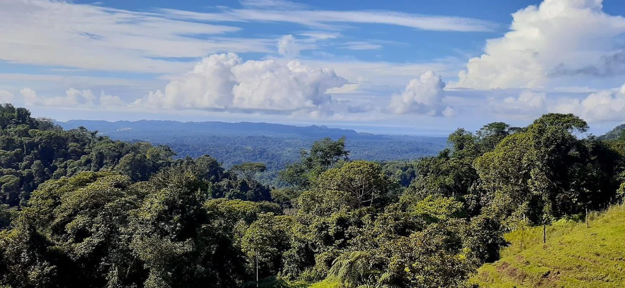 SECLUDED PARADISE WITH STUNNING VIEWS, WATERFALLS & ABUNDANT WILDLIFE - Gallery image 9