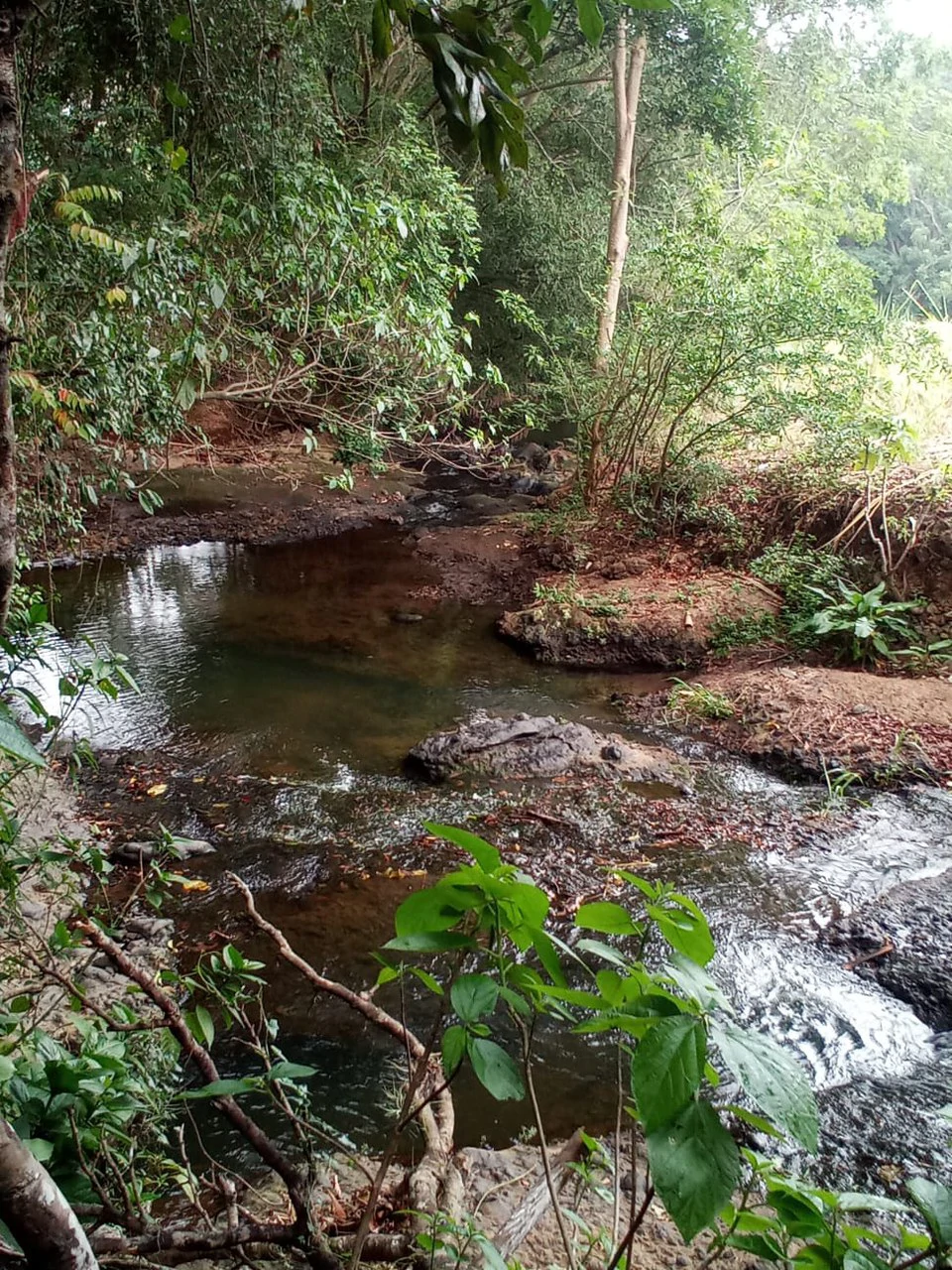 THE JEWEL OF GRECIA: $20m2 - 10 Hectares of Unlimited Potential! - Gallery image 4