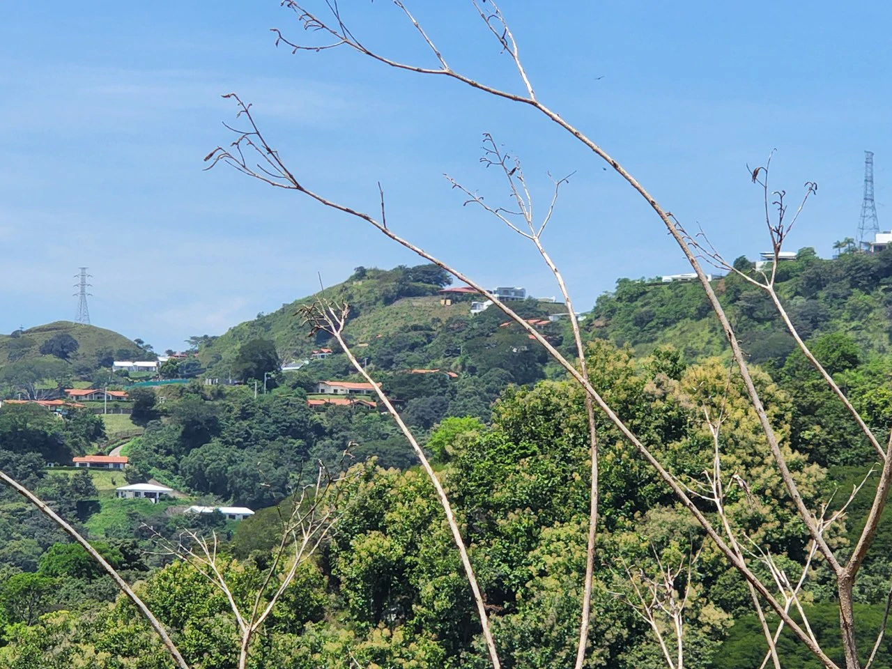 Countryside Home Construction Site For Sale in Atenas - Gallery image 13