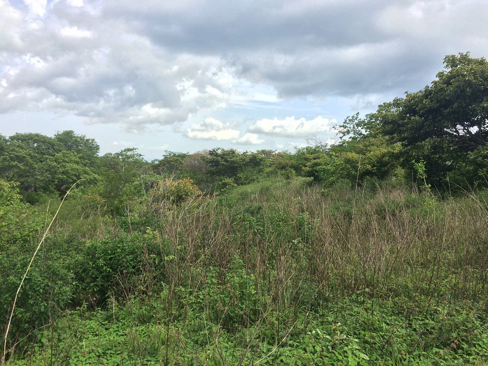 Mountain Property for Sale with charming 360º views of Guayabos Valley and the Volcanoes - Gallery image 13