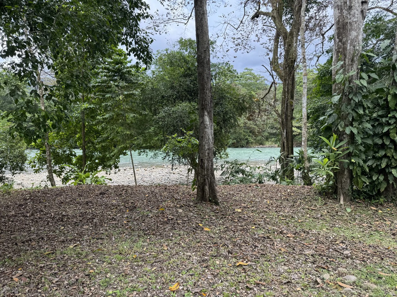 Riverfront Oasis on the Barú River Playa Dominical - Gallery image 16