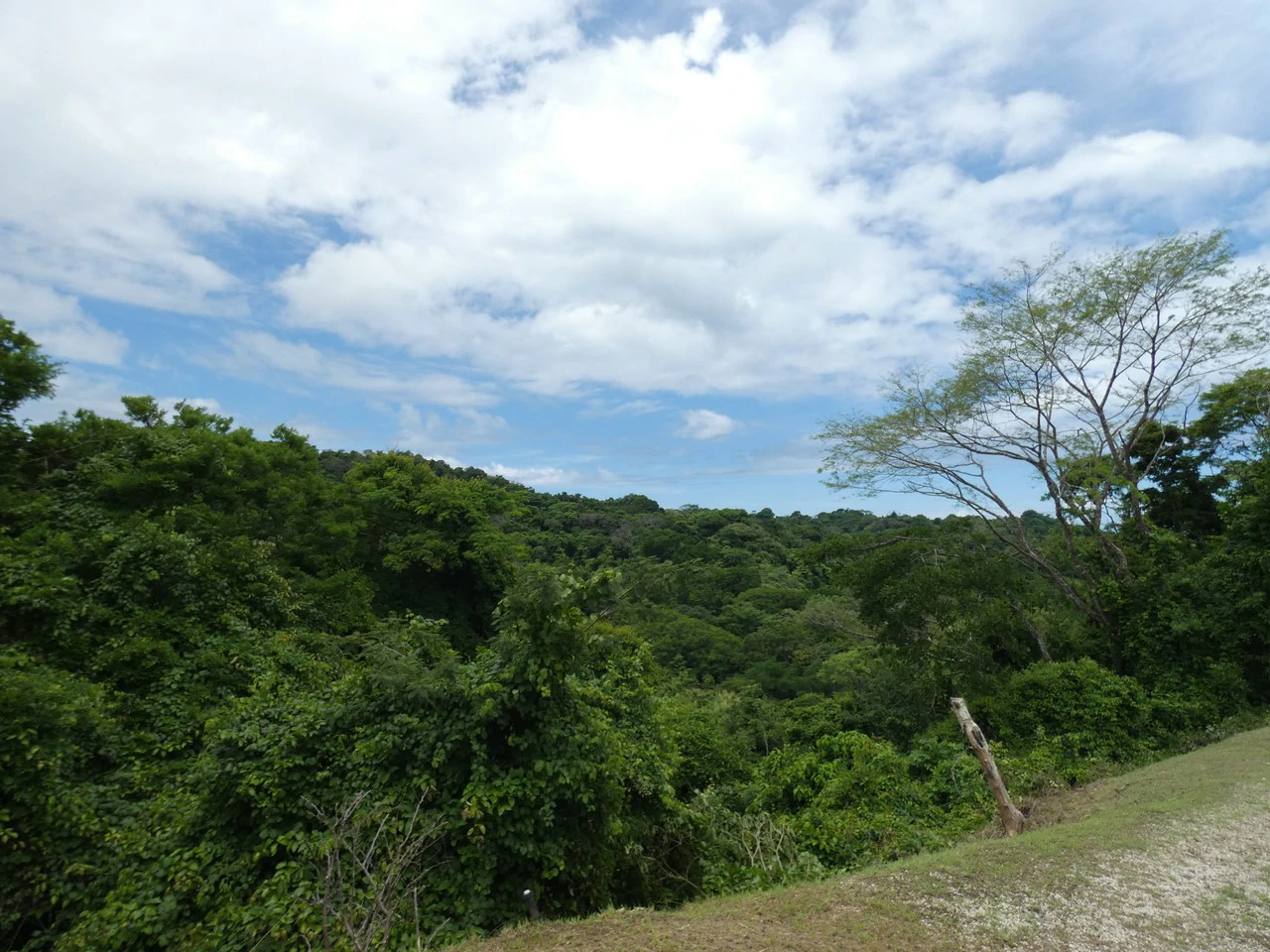 Samara beach property project with own natural reserve and ocean views - Gallery image 4