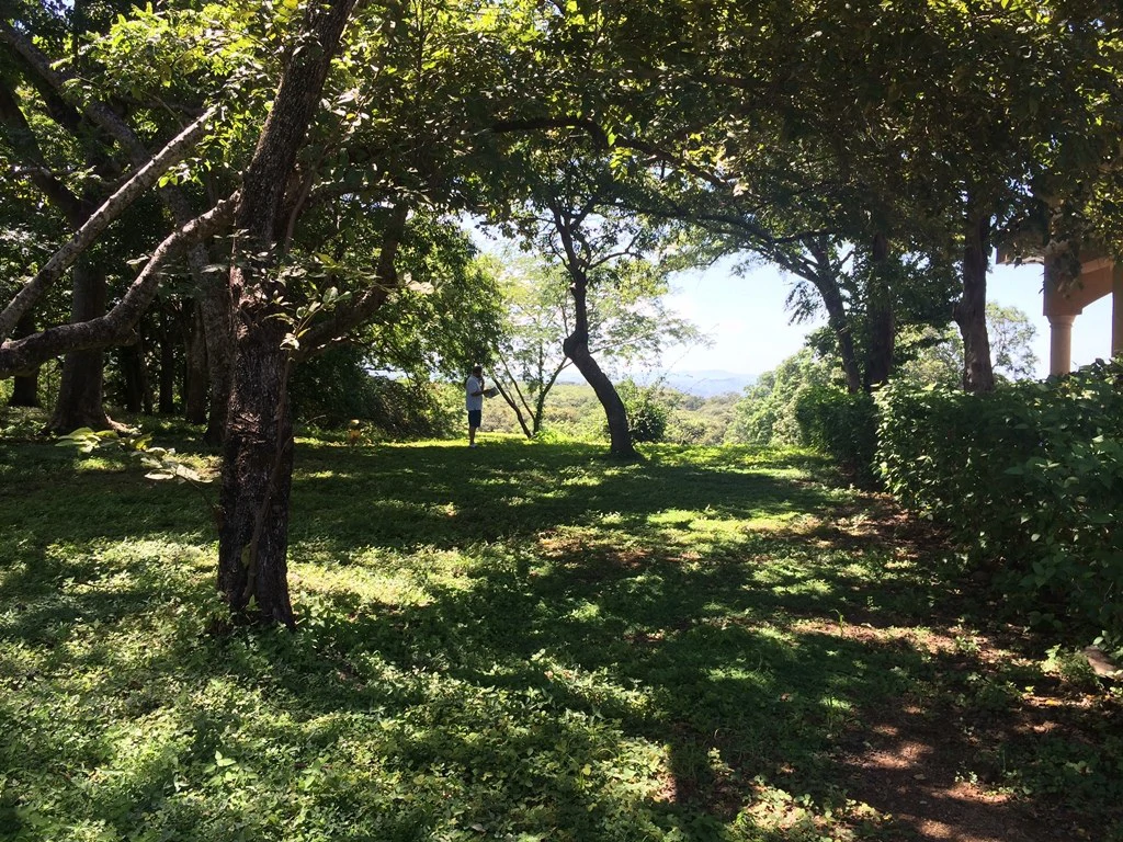 Great Ocean, valley and garden view Lots for sale in a Private Gated Community in Peninsula Papagayo - Gallery image 5