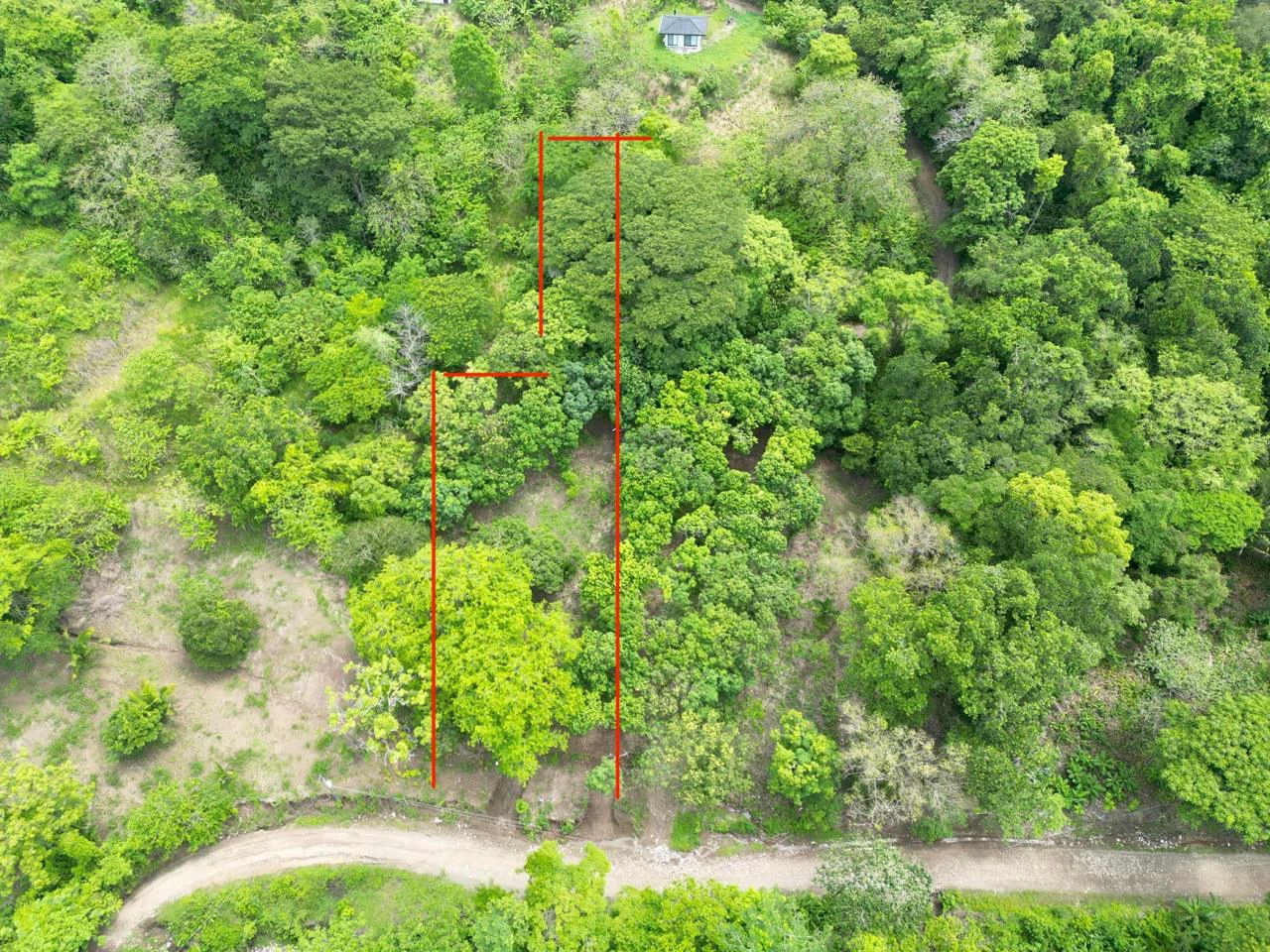 Enchanting 9,800 m² Land Surrounded by Jungle and Nature: A Peaceful Retreat Near Santa Teresa, Mal País, and Cabuya - Gallery image 7