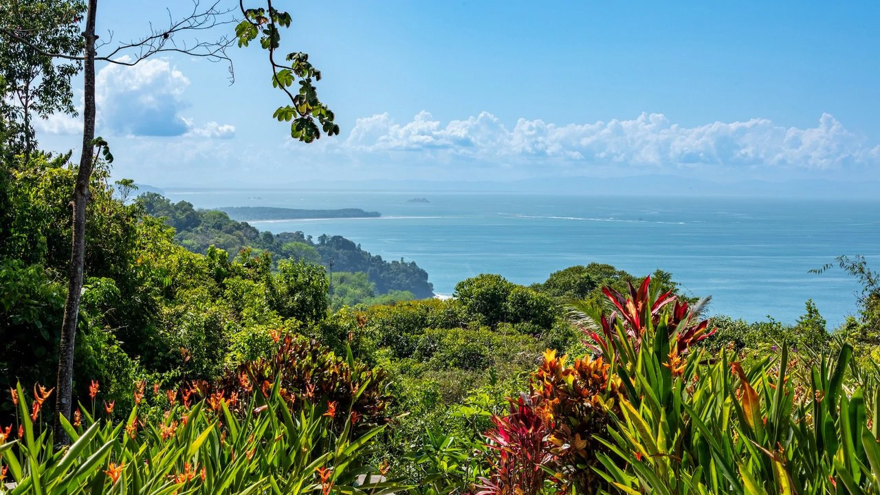 Whale's Tail Ocean View Estate with Extra Lot in Between Uvita and Dominical - Gallery image 3