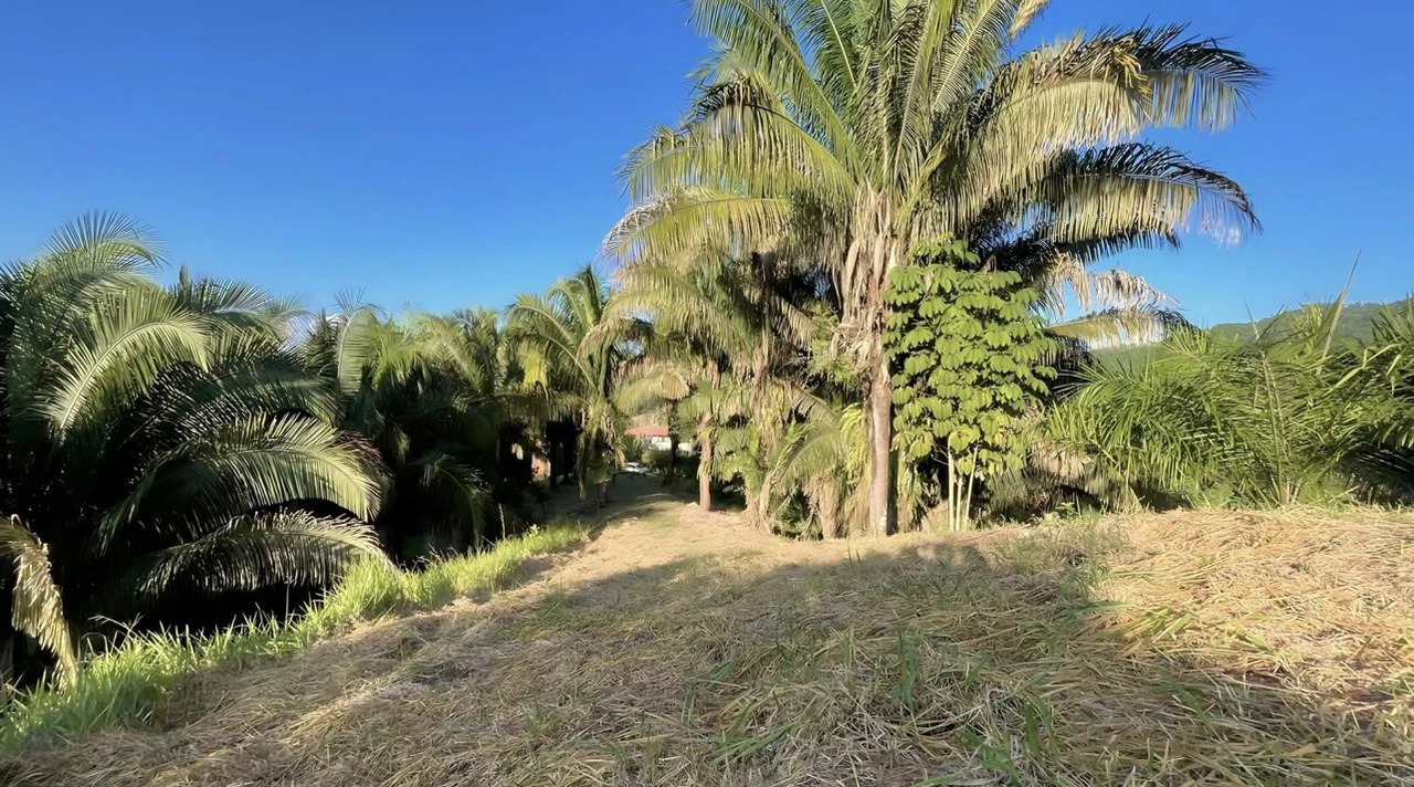 Exclusive Hermosa 1.2 Acre Lot with Panoramic Mountains and Ocean View. - Gallery image 8