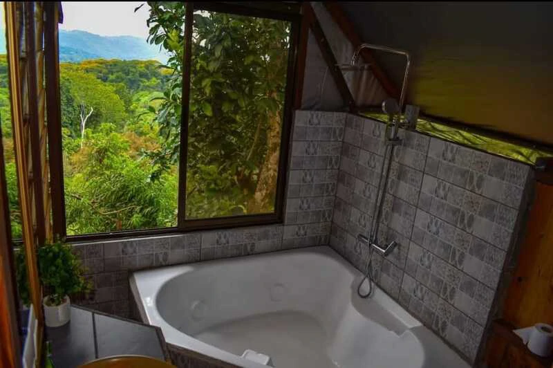 Finca Makambu: Countryside, Mountain, Near the Coast and Riverfront Property For Sale in Barú - Gallery image 28