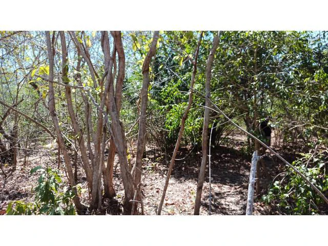 3 Flat topography properties for sale near Playas del Coco, Great building potential in the province of Guanacaste - Gallery image 5