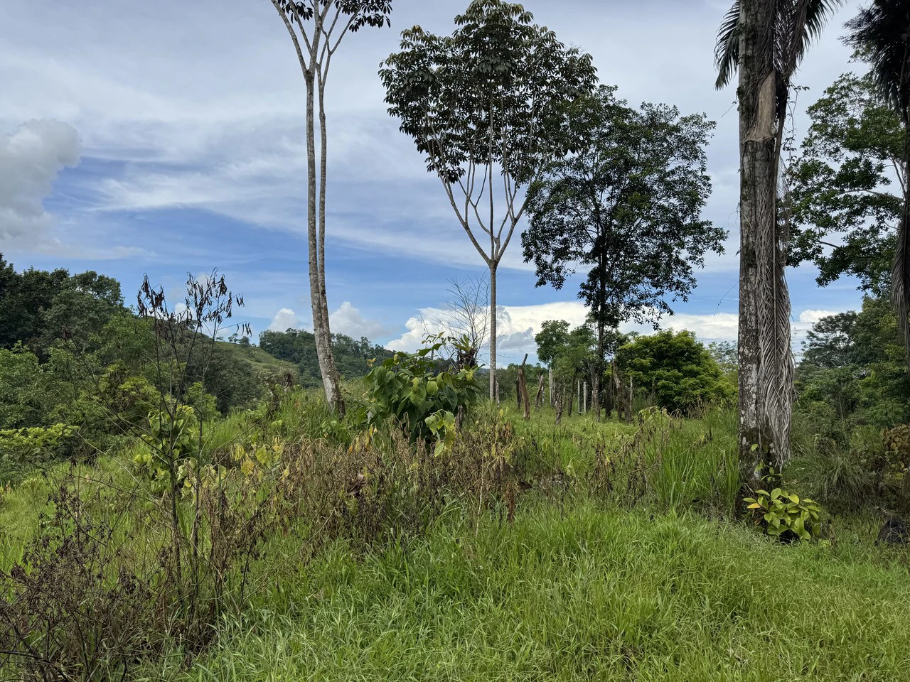 19 Acre Riverfront Lot with Private Waterfall la Perla Dominical - Gallery image 11