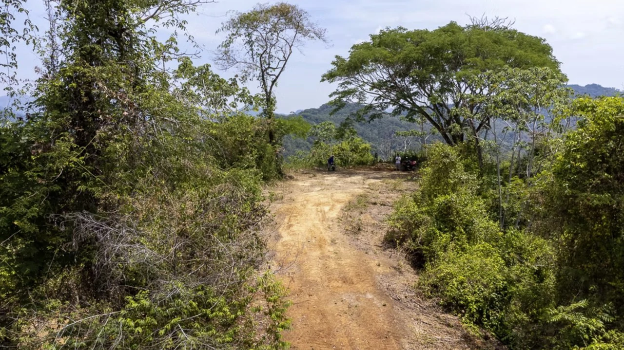 Farm for sale in Puntarenas Lepanto Costa Rica - Gallery image 5