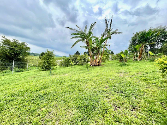 CA-005 Casa del Invernadero: Premium 3-BR / 3.5-BA Gated Estate in Grecia | Turnkey Furnished Option, Private Greenhouse, Clay Roof & River Access - Gallery image 3