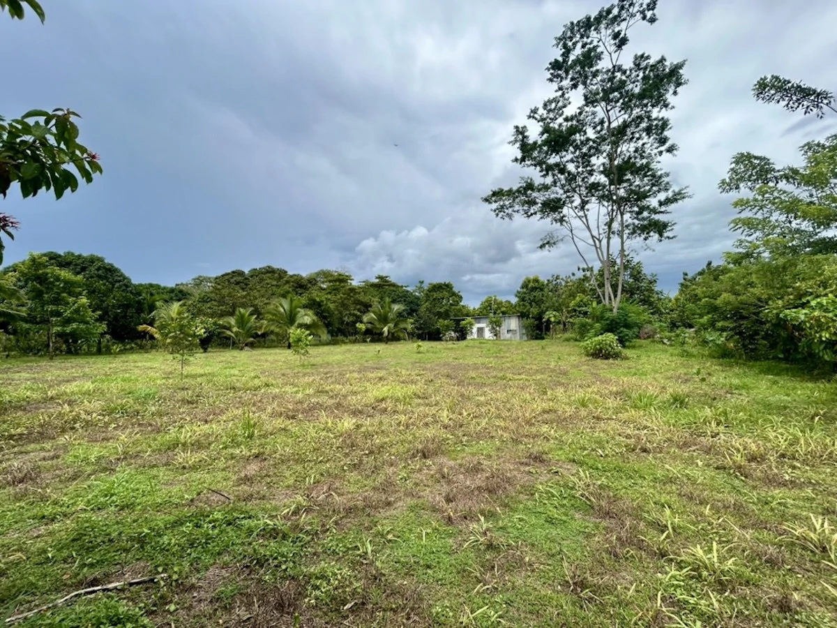 Large Building Lot Near Puerto Jiménez - Gallery image 7