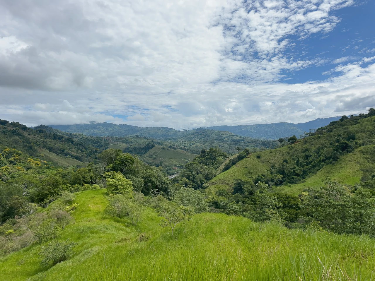 60+ Hectares in Platanillo | Own Your Own Mountain in Costa Rica - Gallery image 17