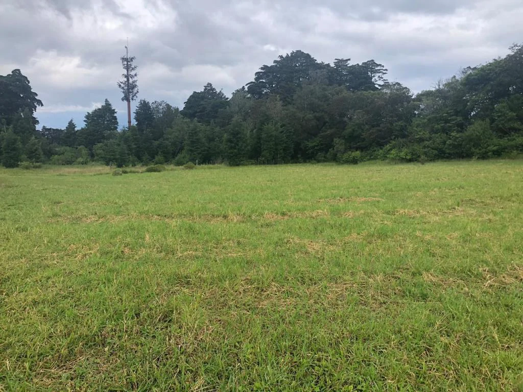 Horse ranch mountain farmland with its own stable's in San Rafael, Heredia - Gallery image 11