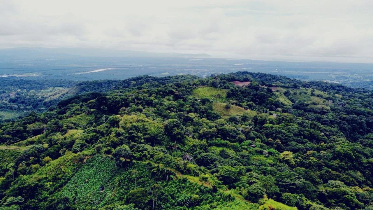 En venta, propiedad en Osa: Mountain Home Construction Site For Sale in Ciudad Cortés - Gallery image 24