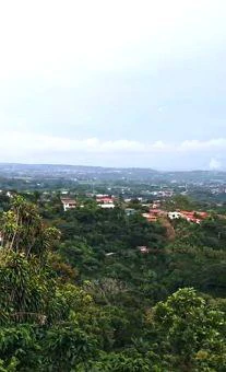Moutain Lot: 6,891 m2 with City Views! - Gallery image 6