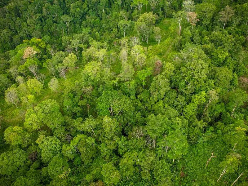 Golfo Dulce Waterfall Jungle Farm | A Nature Lover's Dream Come True - Gallery image 10