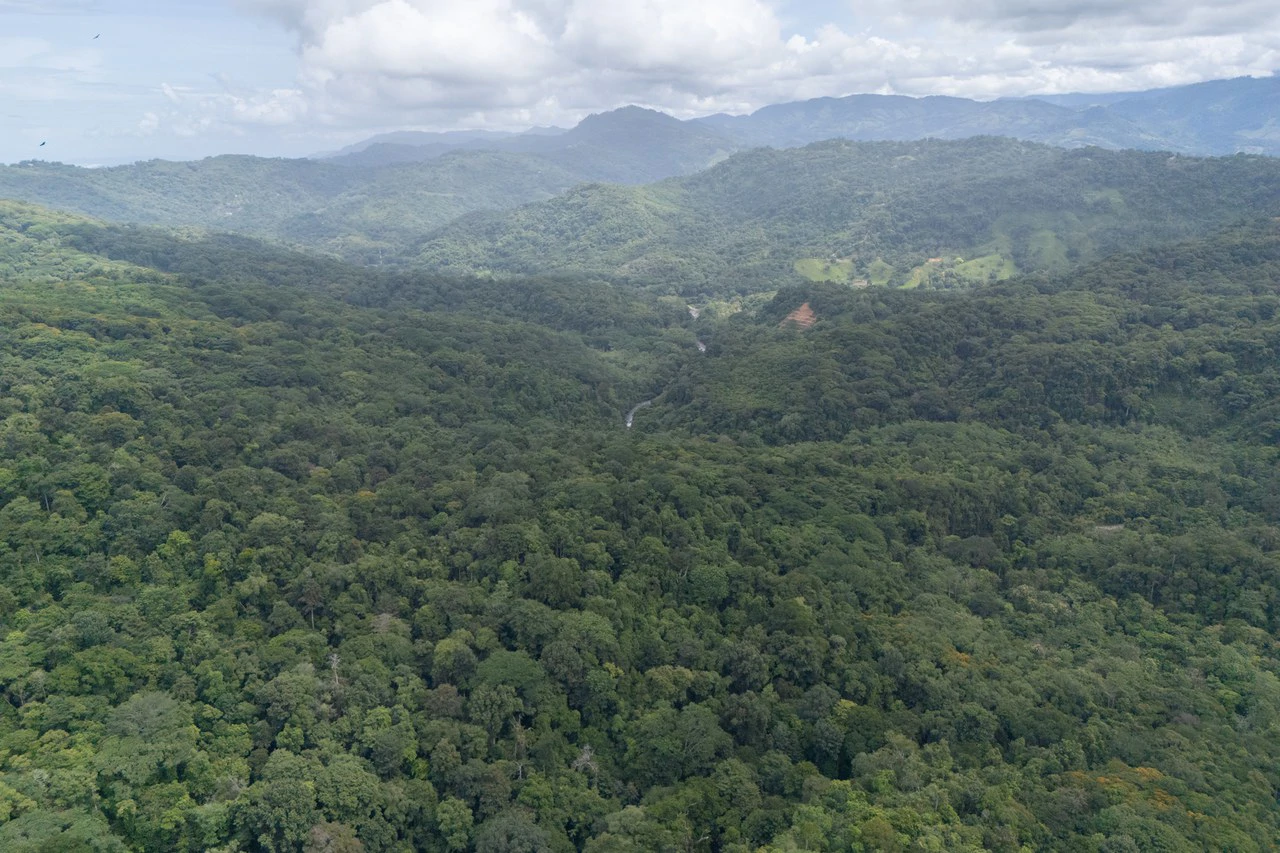 Near the Coast Home Construction Site For Sale in Dominical - Gallery image 7