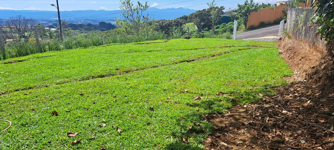 Lot for Sale in San Isidro de Grecia – Fresh Climate and Stunning Views - Gallery image 3