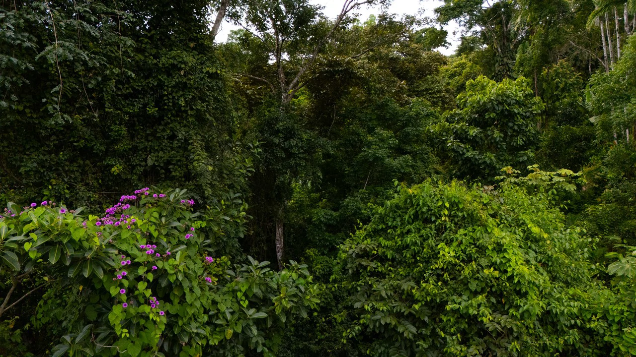 Prime 7.8 Acre Commercial Property with Restaurant for Sale in Costa Rica - Gallery image 54