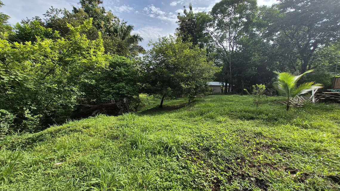 LOTE SERENIDAD: Beautiful 3,554 m² (0.89 Acre) Lot in Peaceful Estrada, Just 10 Minutes from Carillo Beach - Gallery image 5