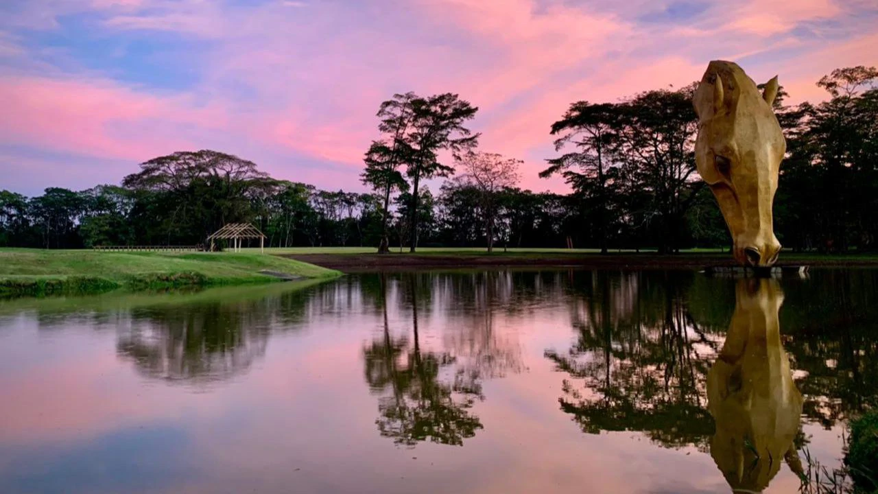 Playa Hermosa Oceanfront Lot 07: Amazing beach front lots for sale in Playa Hermosa in one of the most luxurious and private beach communities in Costa Rica! - Gallery image 94