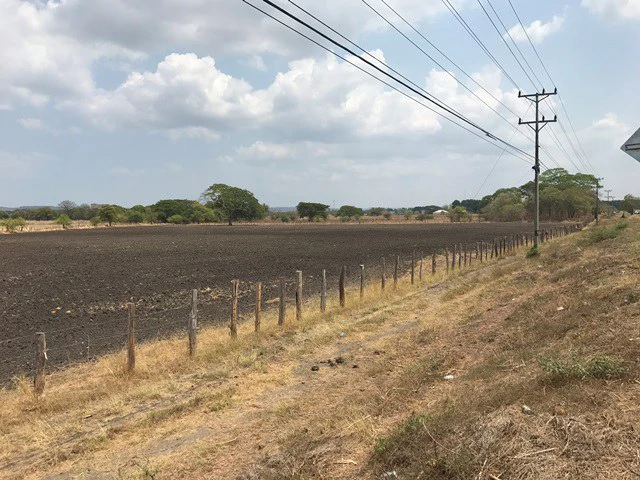 Great opportunity: Big property in Palmira de Carrillo - Gallery image 4