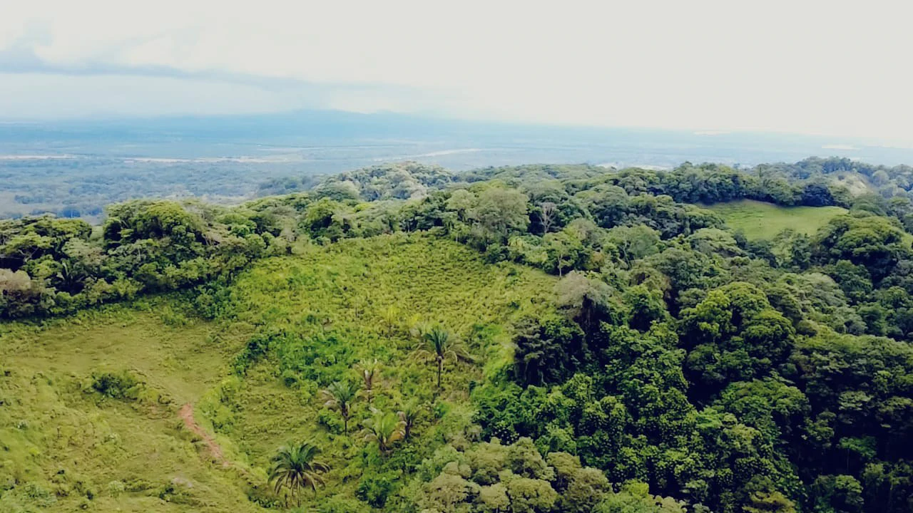 Near the Coast Home Construction Site For Sale in Osa