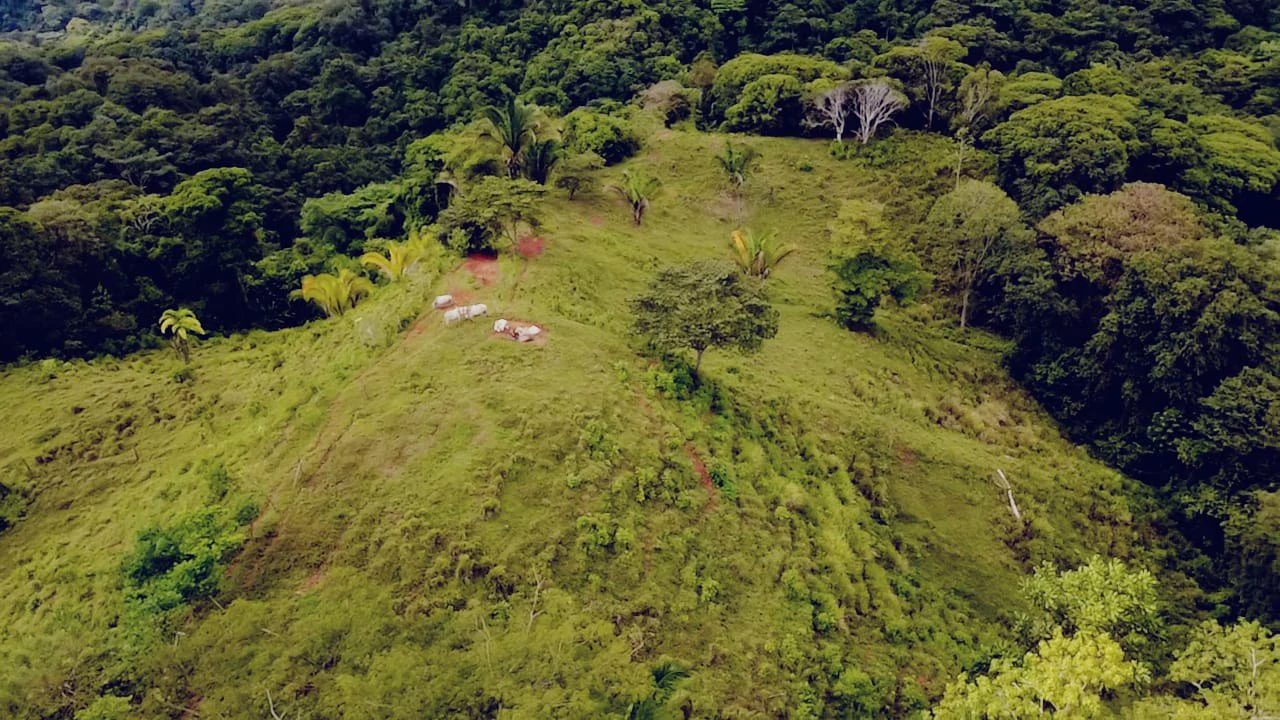 Near the Coast Home Construction Site For Sale in Osa - Gallery image 12