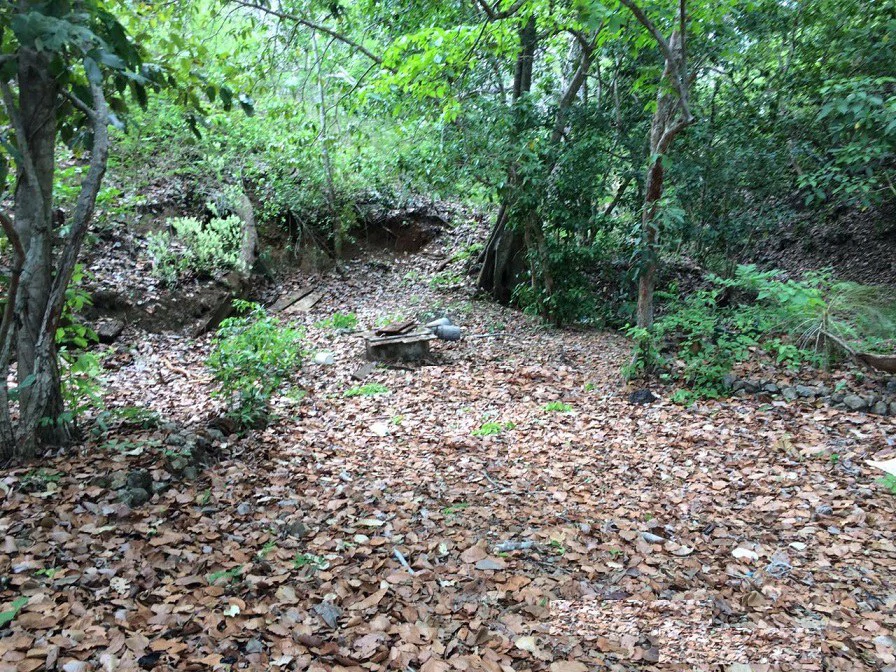 GRAN OPORTUNIDAD: GREAT OPPORTUNITY. Property of 48.3 hectares adjacent to the Hotel Riu - Gallery image 12
