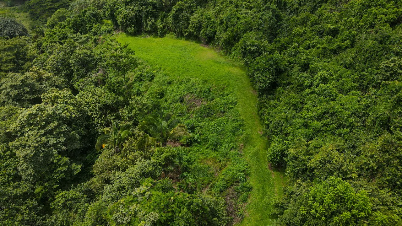 Ocean View Lot for Sale Guanacaste Costa Rica San Miguel Beach Tittled - Gallery image 10