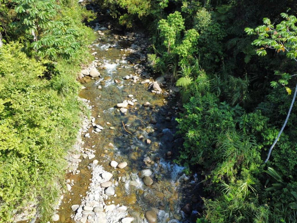 Mountain Home Construction Site For Sale in Convento - photo 3