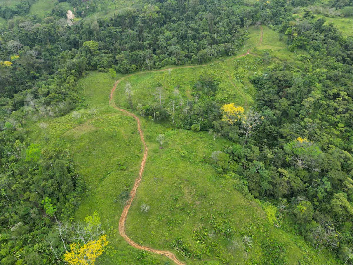 Fire Sale Farm with Ocean View | Piedras Blancas, Osa Peninsula - Gallery image 5