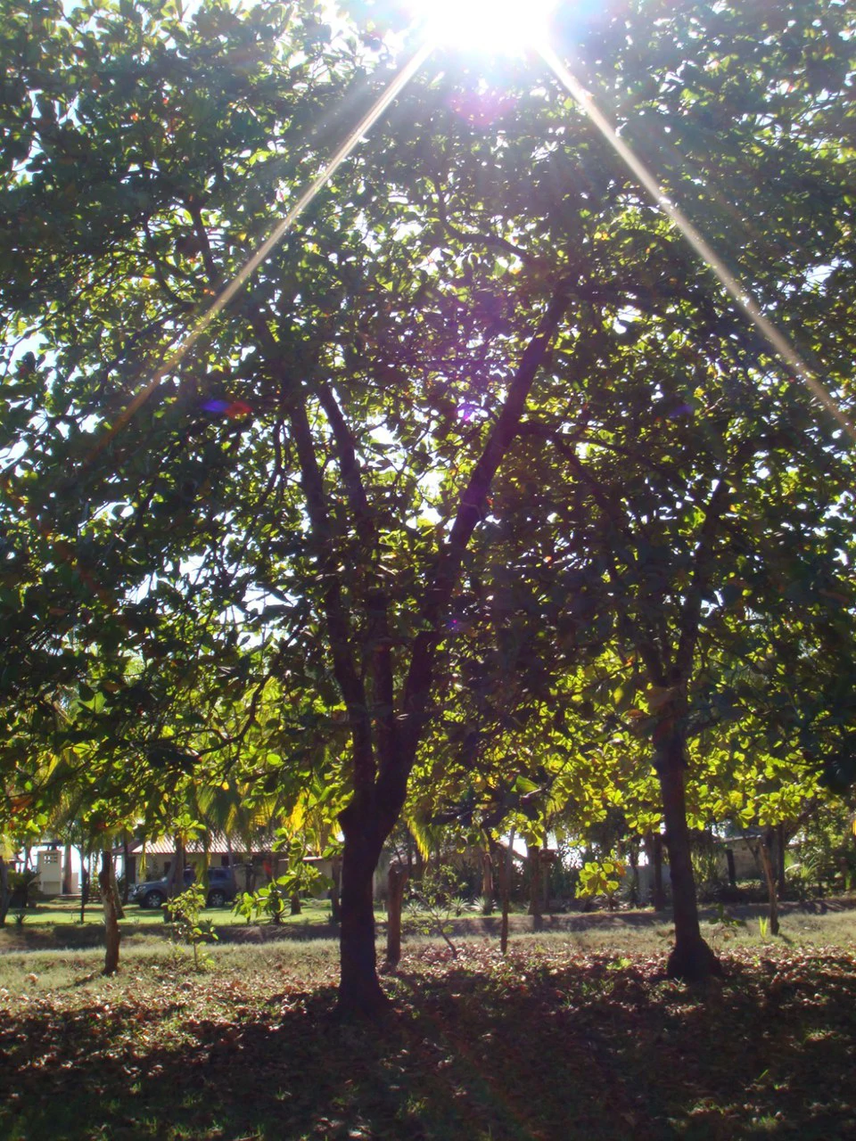 Second-Row Lot for Sale Playa San Miguel, Nandayure, Guanacaste - Gallery image 8
