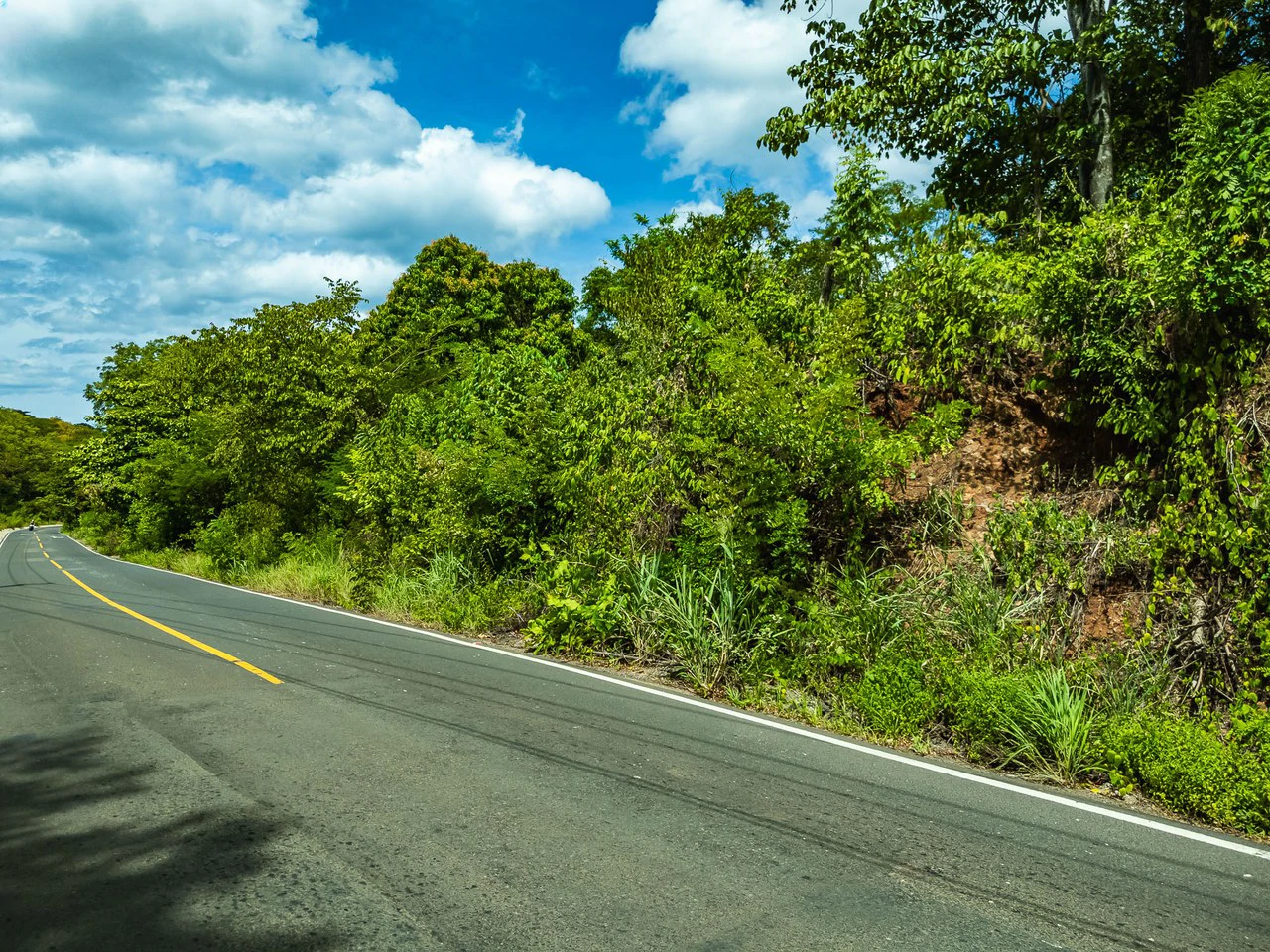 Los Jobos Lot: 1,146 m² Lot Just Minutes from Tamarindo – Paved Road, Water & Electricity - photo 13