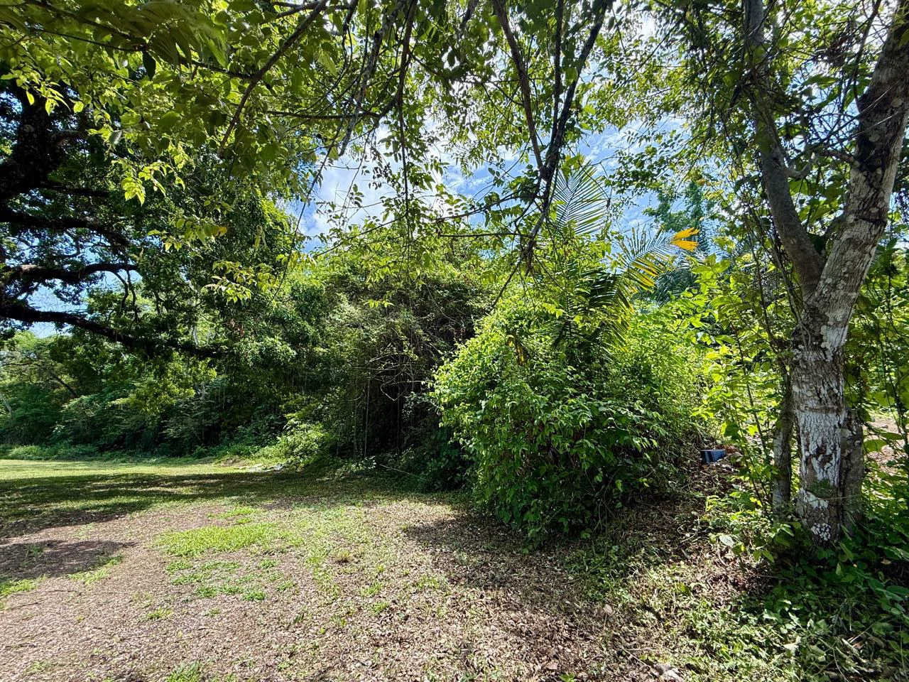 Ocean View Lot for Sale Coyote Beach Guanacaste Costa Rica - Gallery image 15