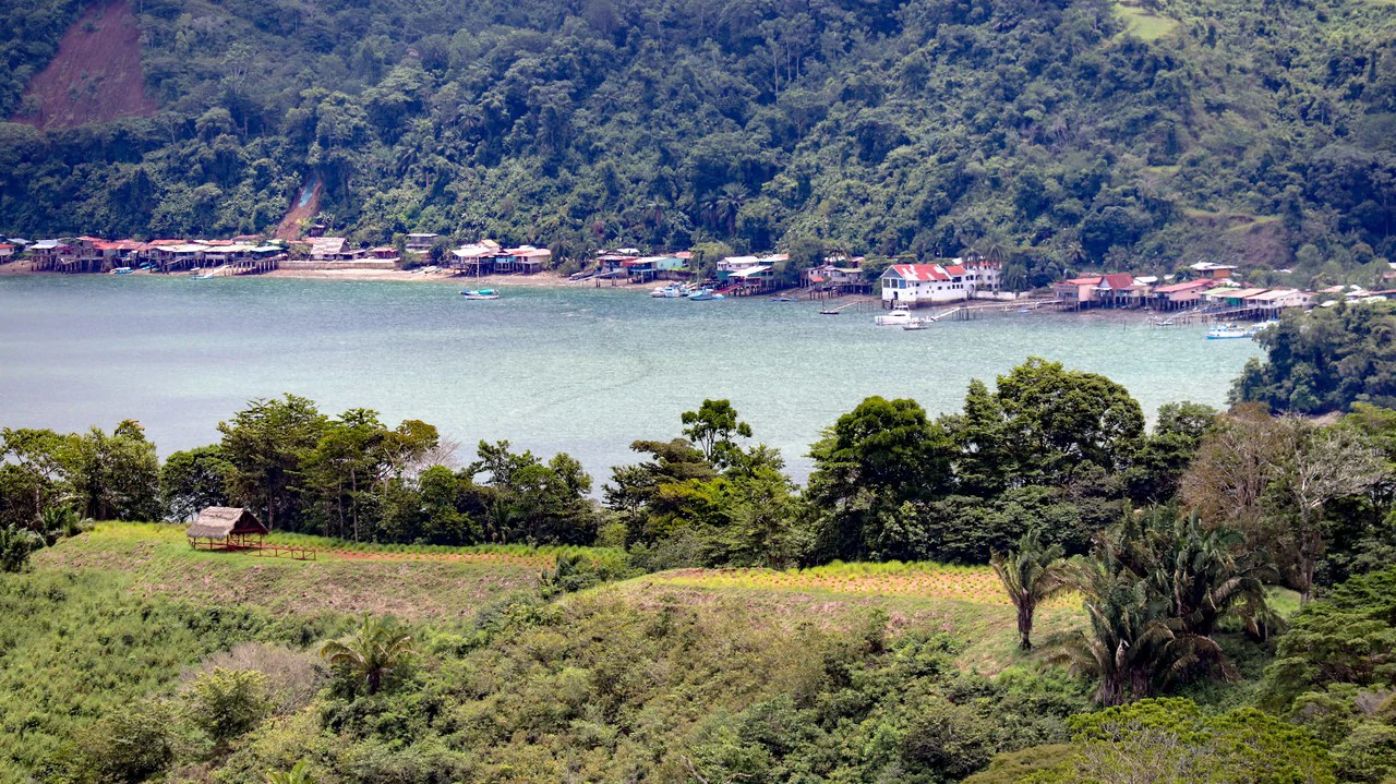 Unique Development Property Overlooking the Pristine Golfito Bay and Golfo Dulce - Gallery image 4