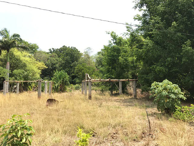 Great property in Santa Cruz: Excellent opportunity to develop in excellent location - Gallery image 17