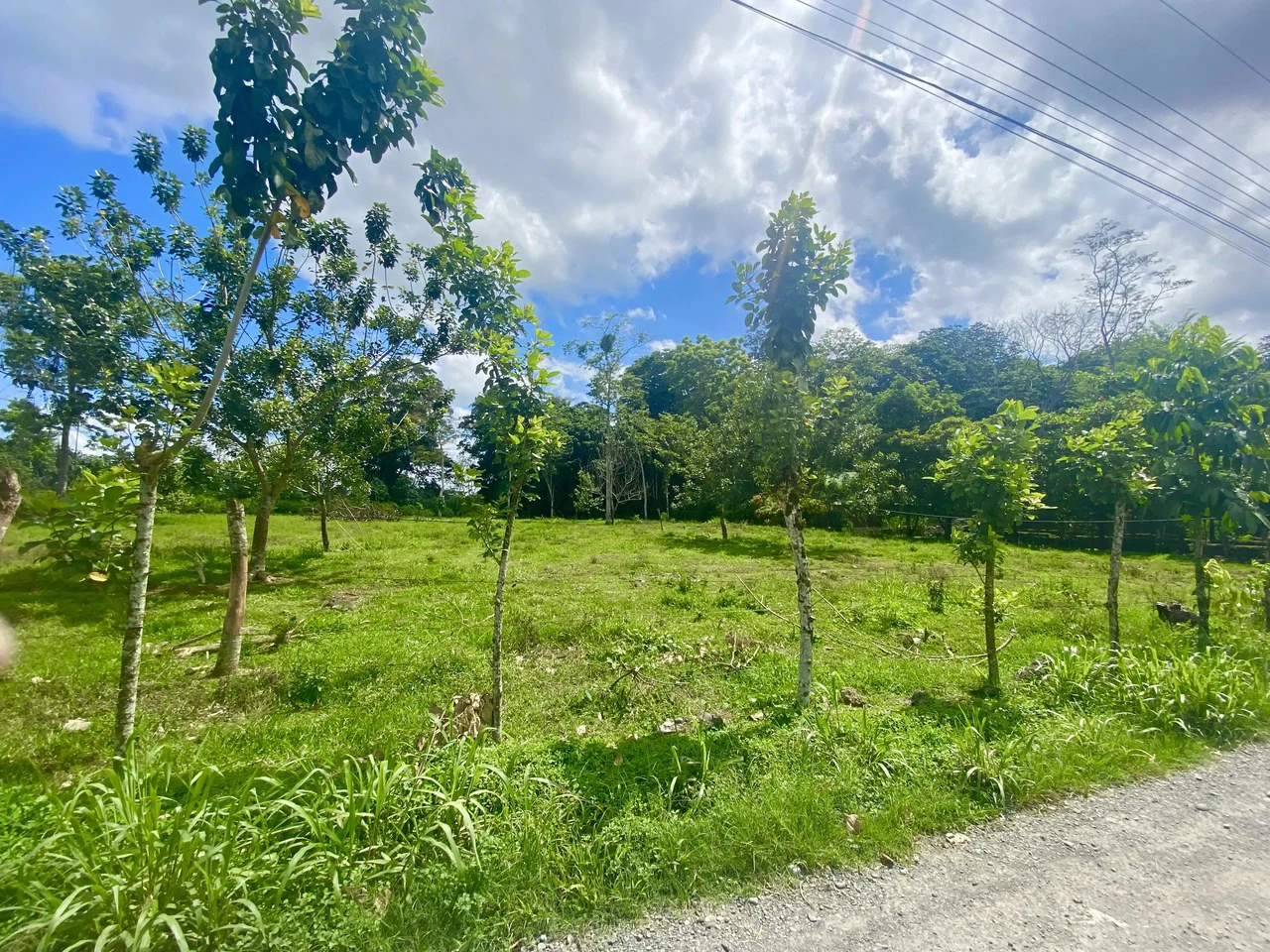Mountain Home Construction Site For Sale in La Fortuna - Gallery image 5