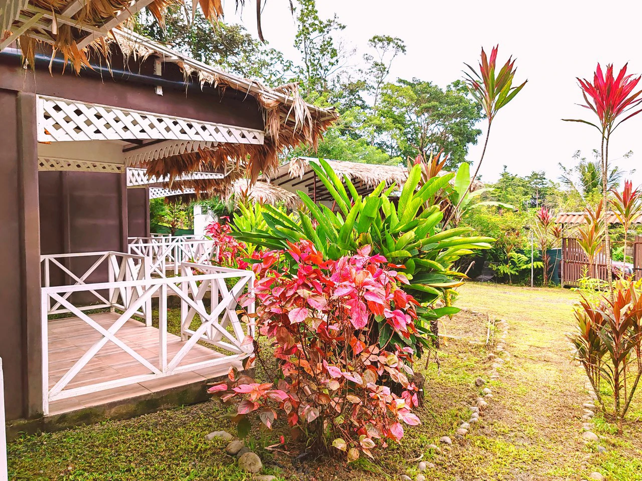 ID: Cahuita Multi Unit Rental Property - 5 Studios, 650m to the Beach - photo 3