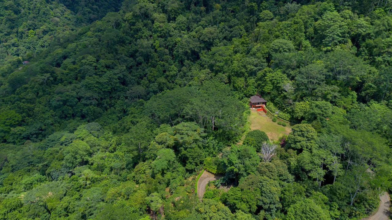 Build-Ready Ocean View Land with Guest House & Fruit Orchard | Tres Rios, Costa Rica - Gallery image 19