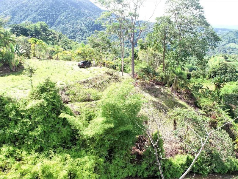 Captivating 3.15-Acre Property: Huge Pricedrop! Firesale Oceanview Lot in Tres Rios - Gallery image 20
