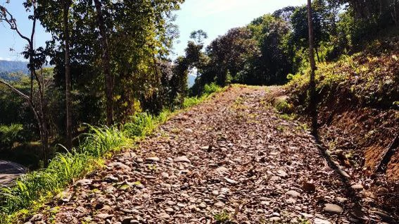 Near the Coast and Mountain Home Construction Site For Sale in Bahía Ballena - Gallery image 5