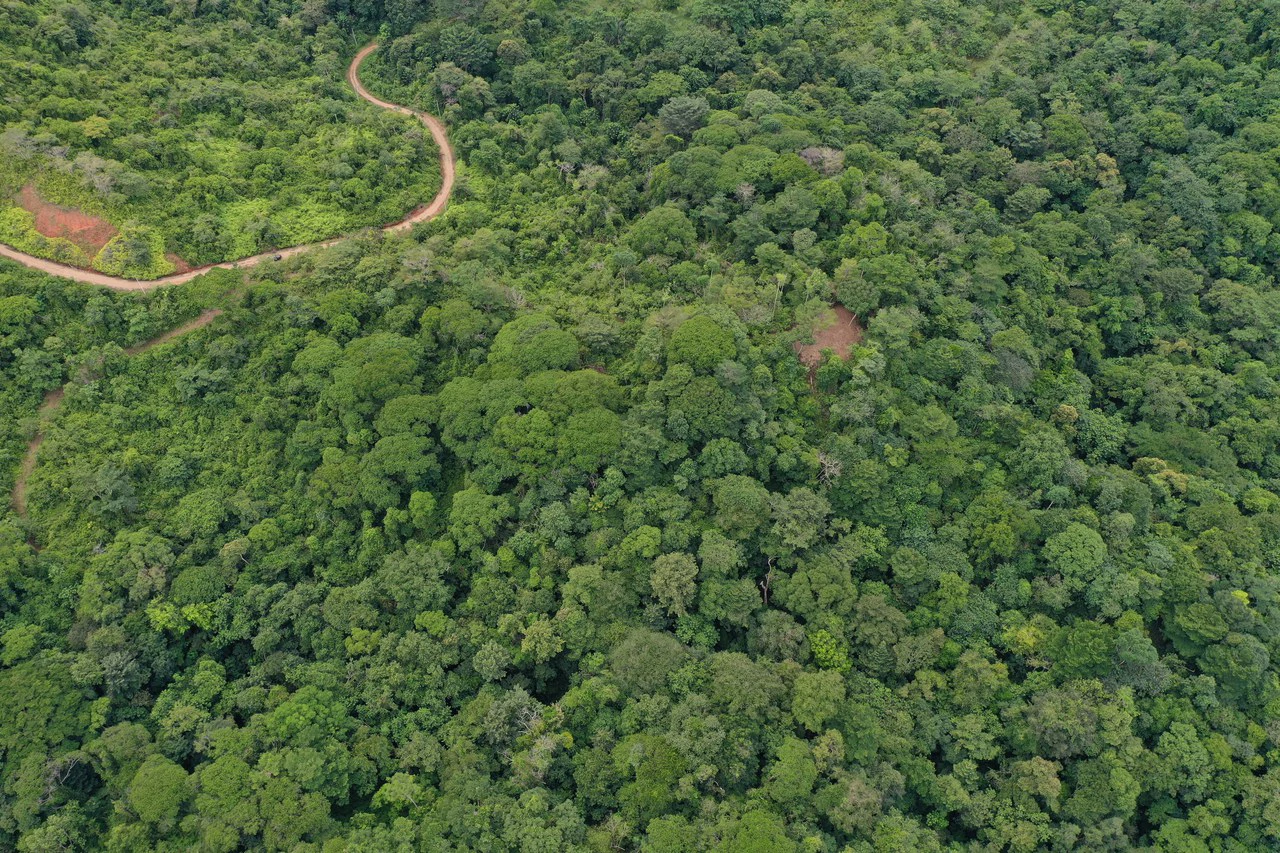 23.5 Acre Waterfall & Riverfront Estate Bahia Ballena Osa Peninsula - Gallery image 16