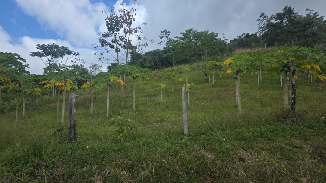 Expansive Year-Round Green Agricultural Property with Rolling Hills and a River – One Hour from Liberia - Gallery image 13