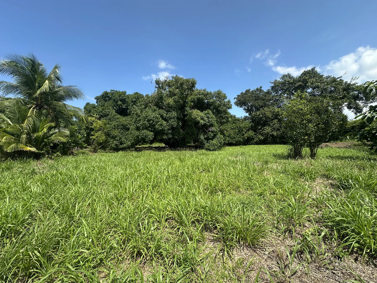 Development Parcel For Sale in Portalon - Gallery image 14