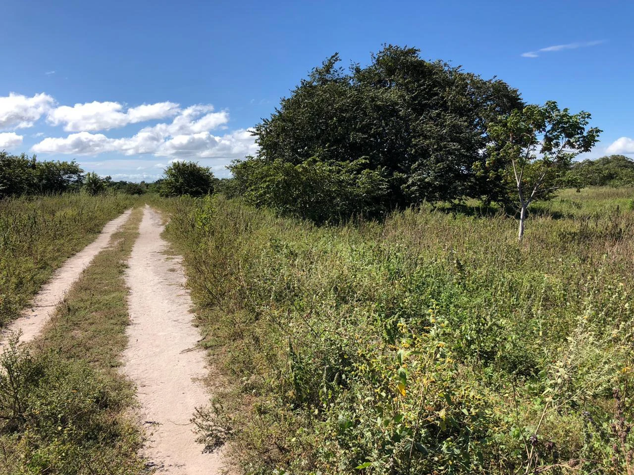 Property near the airport in Liberia – Strategic investment opportunity