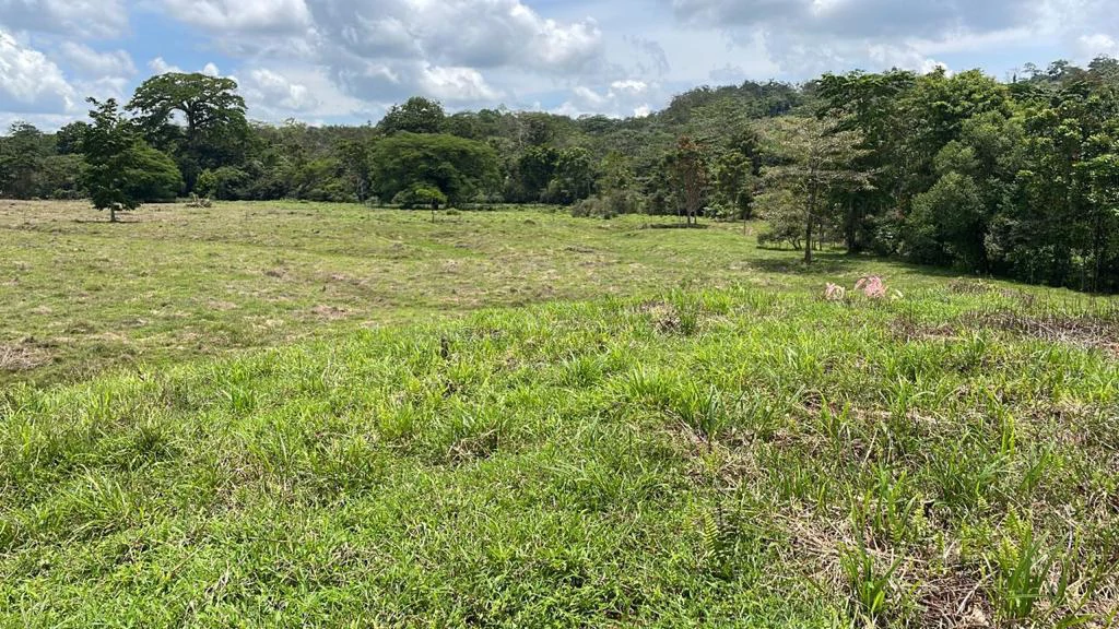 Building potential property for sale, beautiful land in the pure nature close to Bijagua - Gallery image 20